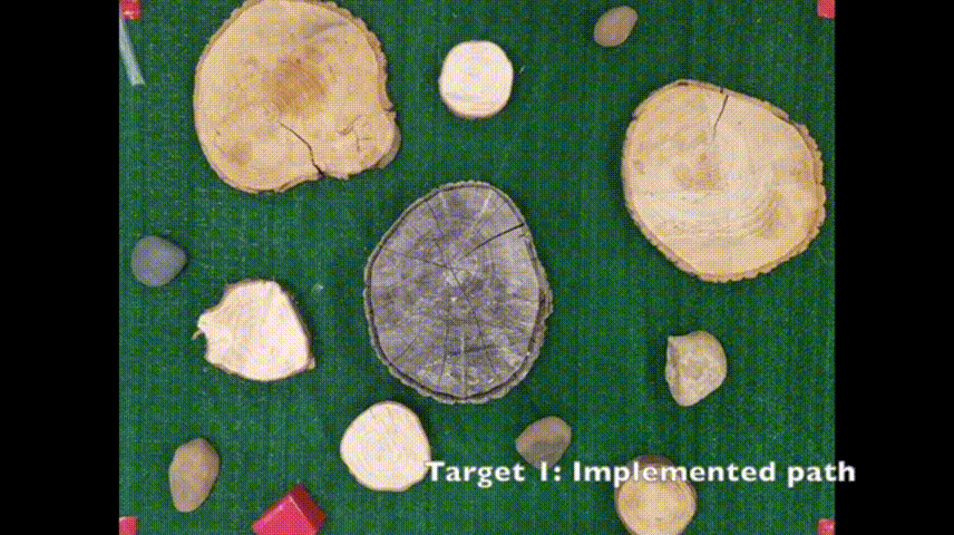 13279086-aa8a-11eb-9728-12bb97331649.gif
