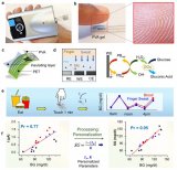 加州大學研發可監測血糖的指尖汗液電化學傳感器