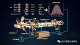 建立中国空间站必不可少的“钟”!