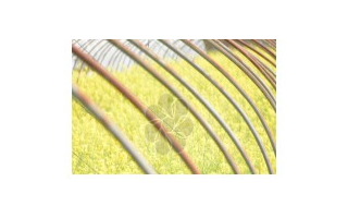 关于水稻单穗脱粒机的介绍