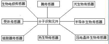 电极