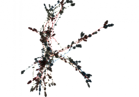 5604867e-c1f1-11eb-9e57-12bb97331649.png