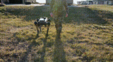 一只身著“軍裝”的機械狗竟然出現在美國空軍的部隊中