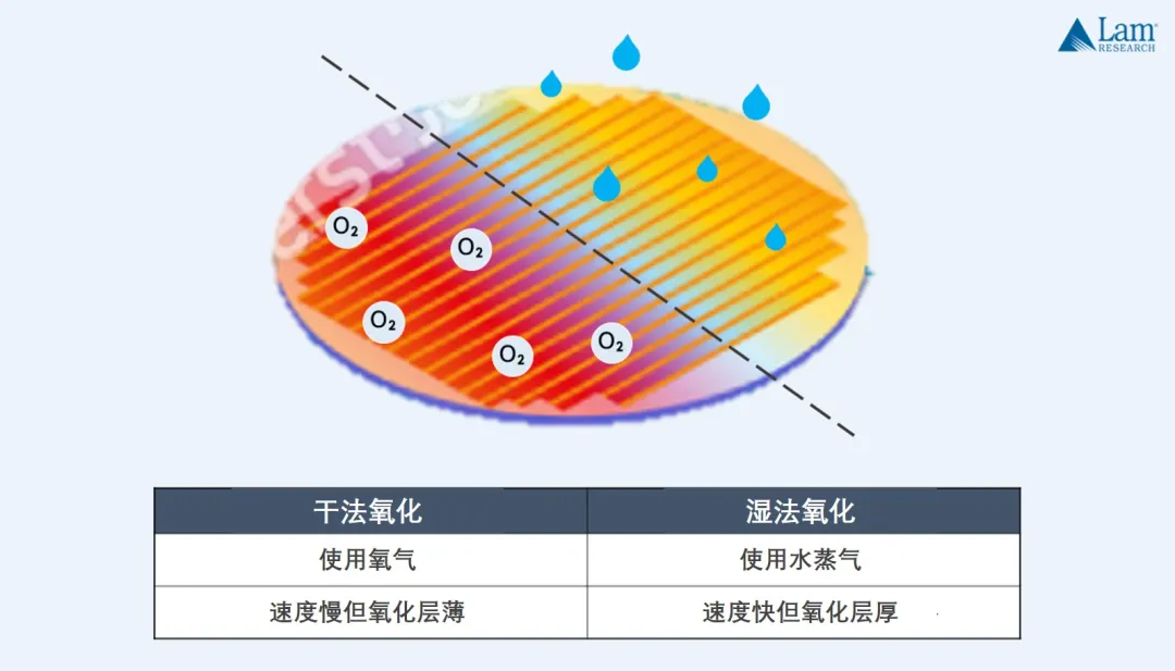 半导体