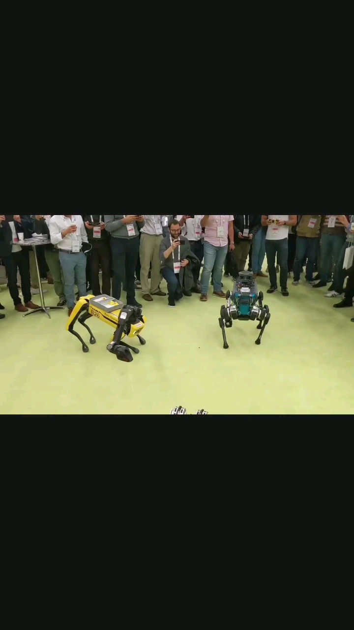 三狗争霸赛，谁能胜出#机器人 