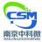 南京中科微电子有限公司/CSM