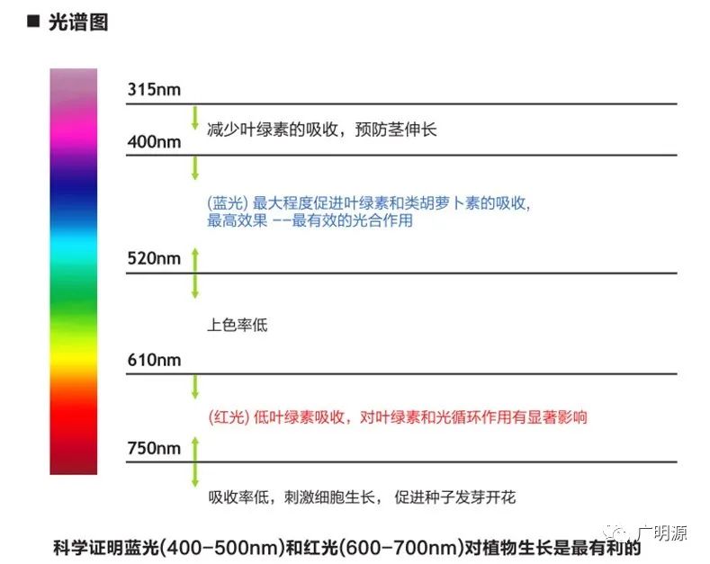 广明源