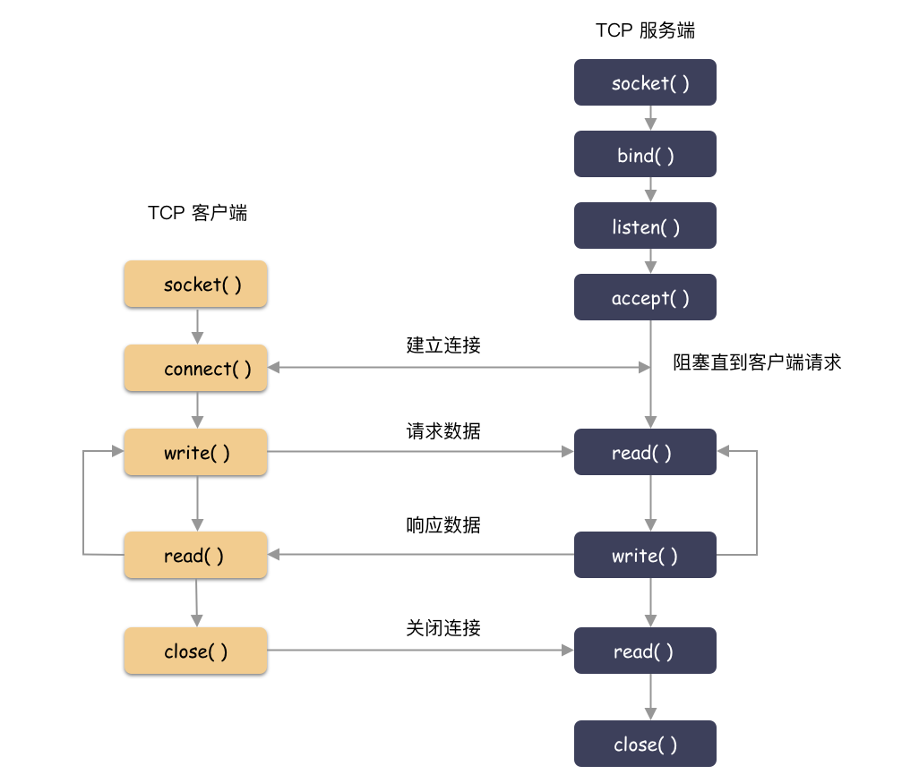 数据