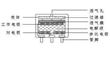 cbacb376-357b-11ec-82a8-dac502259ad0.jpg