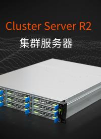 Firefly云手机服务器Cluster server R2，最高可支持虚拟720台手机，应用多开，一键操控
