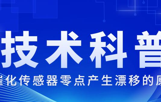 威廉希尔官方网站
科普 | 催化传感器零点产生漂移的原因