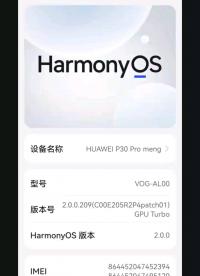 #支持鴻蒙，為國產操作系統站臺 
