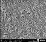 如何得到一張電池薄膜的真實(shí)的SEM圖像