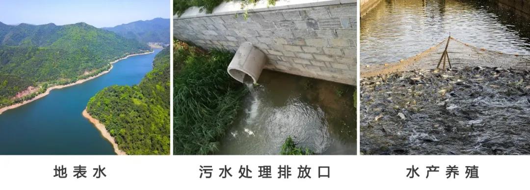 溶解氧传感器