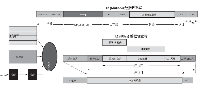 FPGA