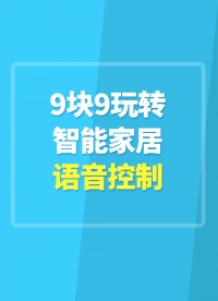 9塊9玩轉智能家居語音控制#智能家居 