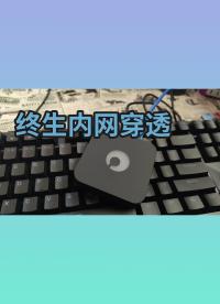 從此網(wǎng)絡(luò)無內(nèi)外，蒲公英x1盒子
