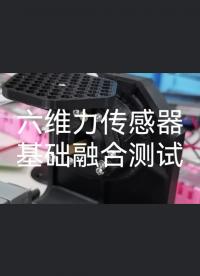 六维力传感器基础融合功能测试