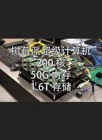 樹莓派集群計算機，200核心，50G內(nèi)存，1.6T分布式閃存