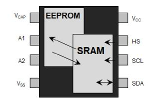 microchip