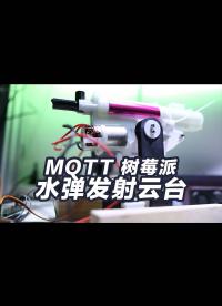 水彈發(fā)射器云臺用樹莓派和MQTT做4G遙控車 3D打印云臺 手機4G控制