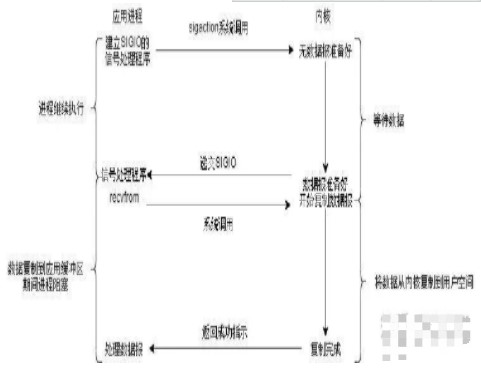 一文详细了解五种IO模型