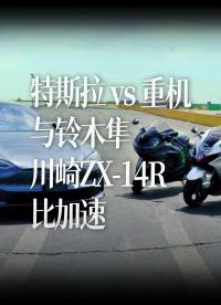 【中字】特斯拉Plaid vs 重機，與鈴木隼和川崎ZX-14R比加速