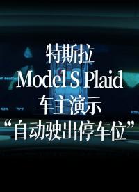 特斯拉Model S Plaid车主演示“自动驶出停车位”功能