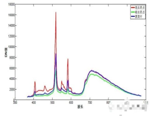 高光谱成像平台对蔬菜和农药点光谱特性分析