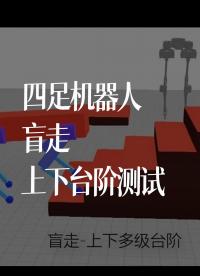四足機器人-盲走-上下臺階測試 