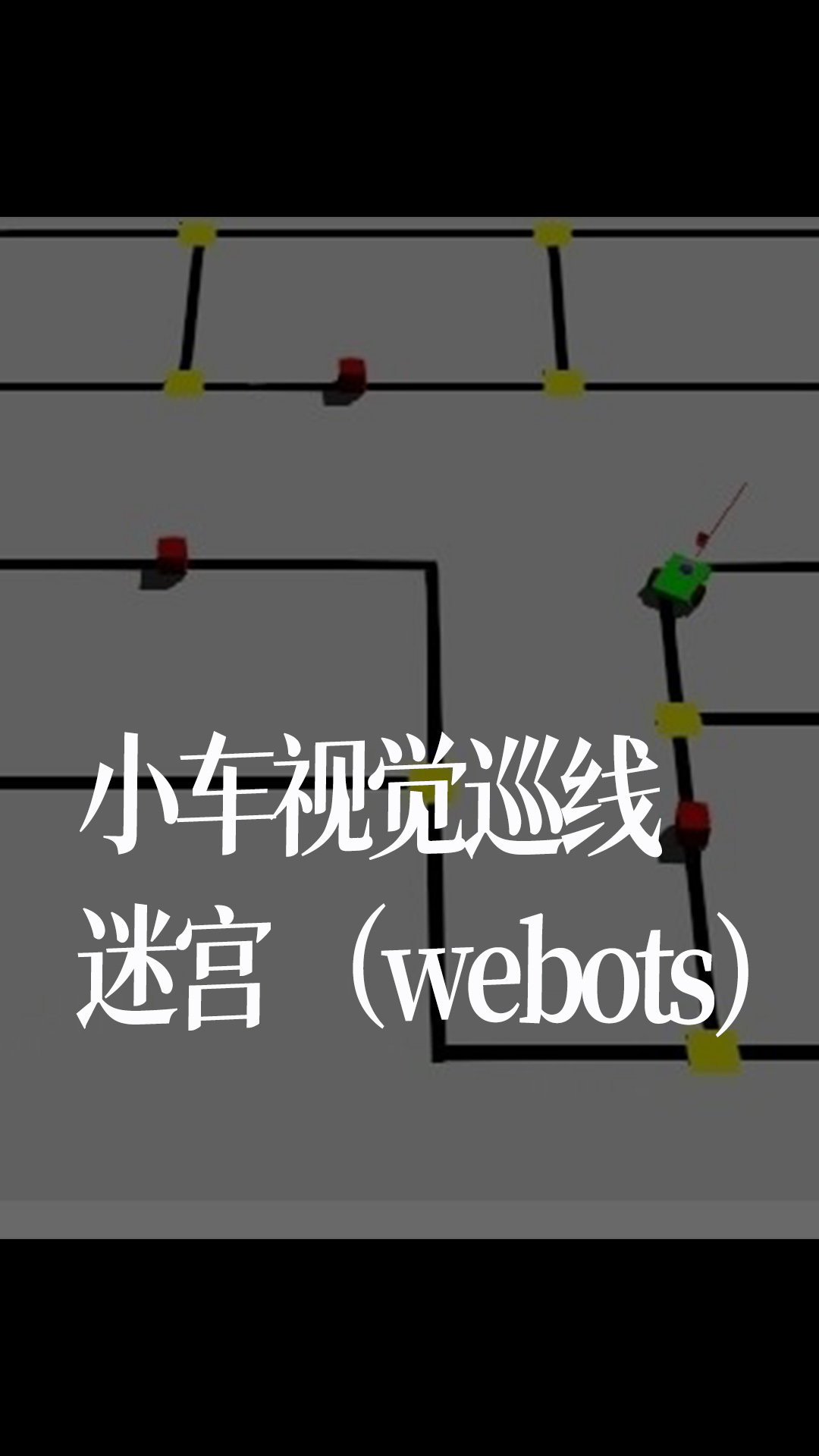 小车视觉巡线迷宫（webots）