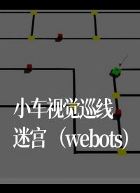小車視覺巡線迷宮（webots）