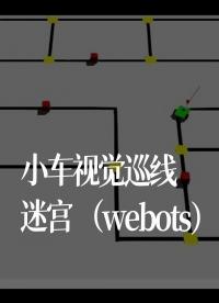 小车视觉巡线迷宫（webots）