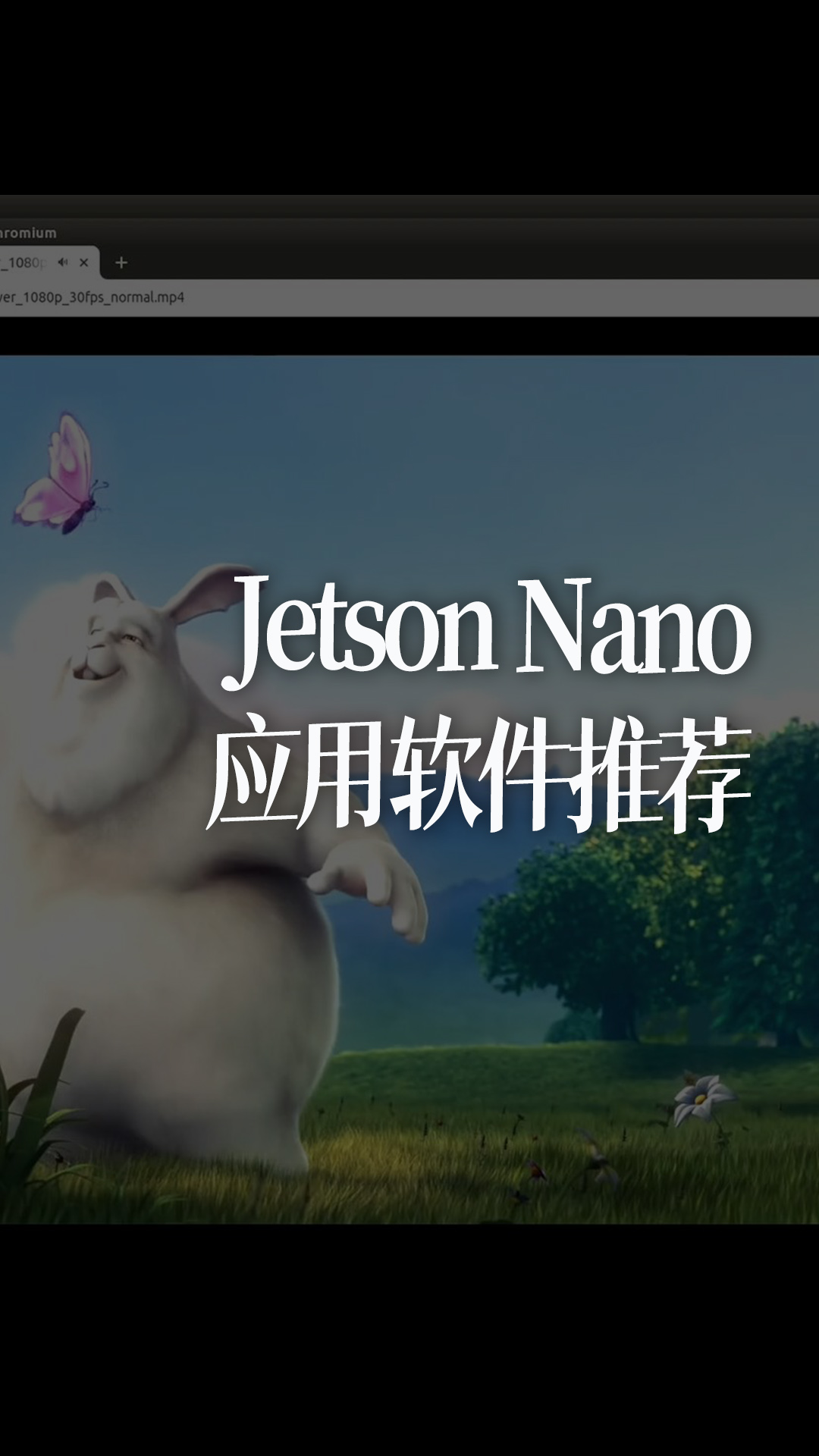 Jetson Nano应用软件推荐 