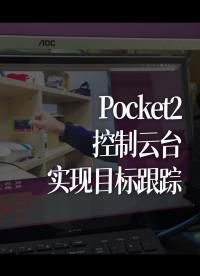 Pocket2控制云臺(tái)實(shí)現(xiàn)目標(biāo)跟蹤 