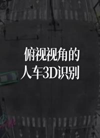 视视角的人车3D识别 