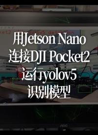 用Jetson Nano連接DJI Pocket2運行yolov5識別模型 