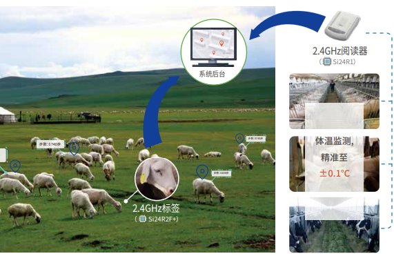 智慧農業管理系統--牛羊耳標_體溫監測、定位管理、計數計步
