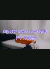 高性能i.MX 8M Plus的開發板長什么樣，基于NXP第一顆帶NPU的高端芯片，面向AI場景##開個箱吧 