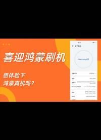 【全球首款華為手機已經升級到鴻蒙了】用顫抖的小手握住手機，開始刷鴻蒙了！完美的體驗！