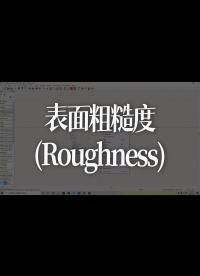 表面粗糙度(Roughness)
