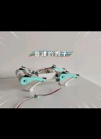 【四足机器人】QR-Mini1俯卧撑、招手、扭动等动作展示