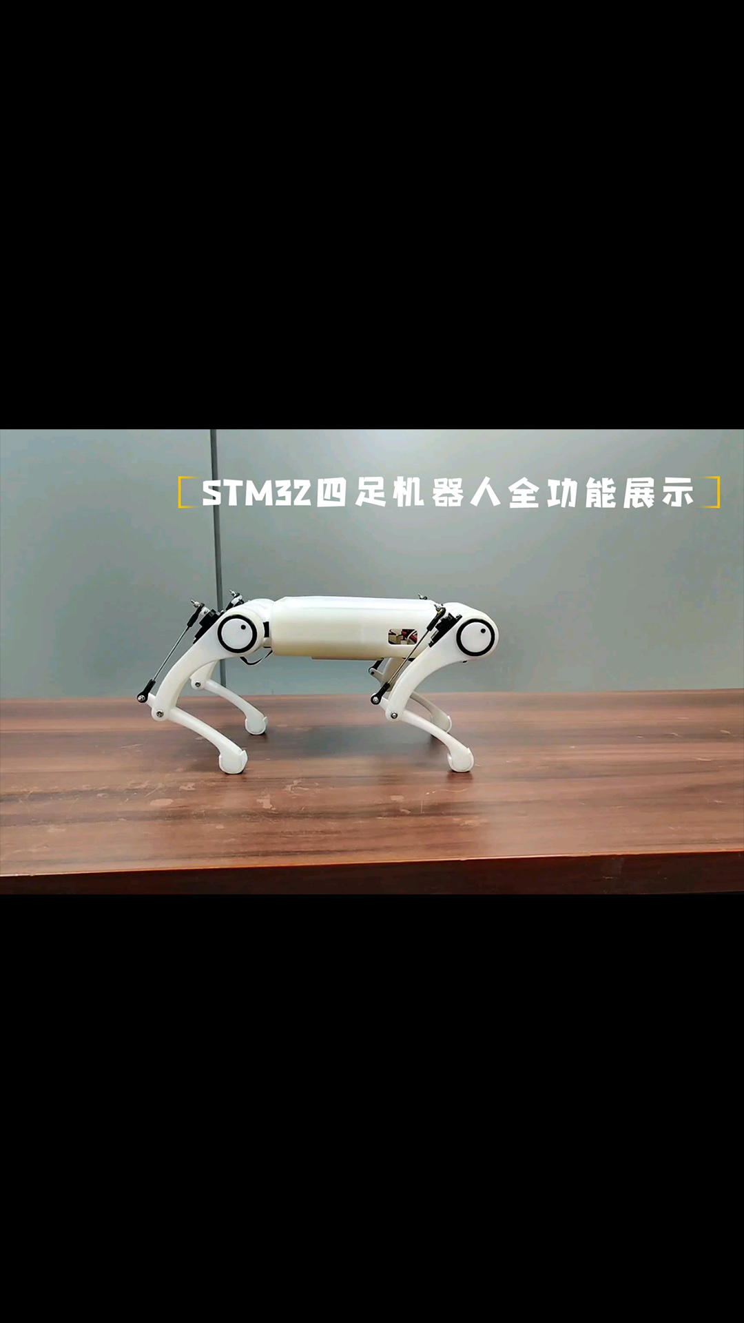 【四足机器人】STM32G0主控QR-Mini1全功能展示 