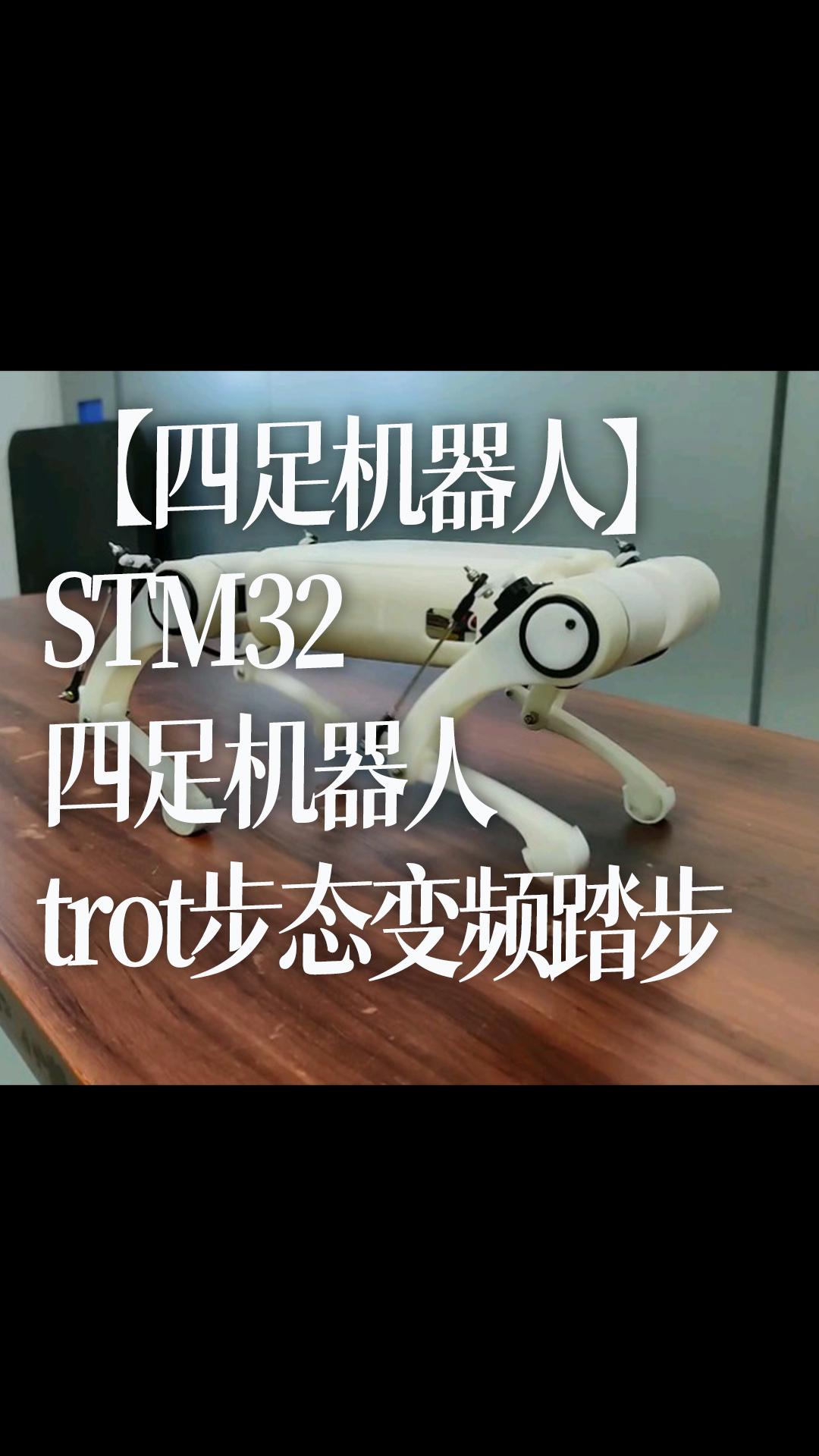 【四足机器人】STM32四足机器人trot步态变频踏步