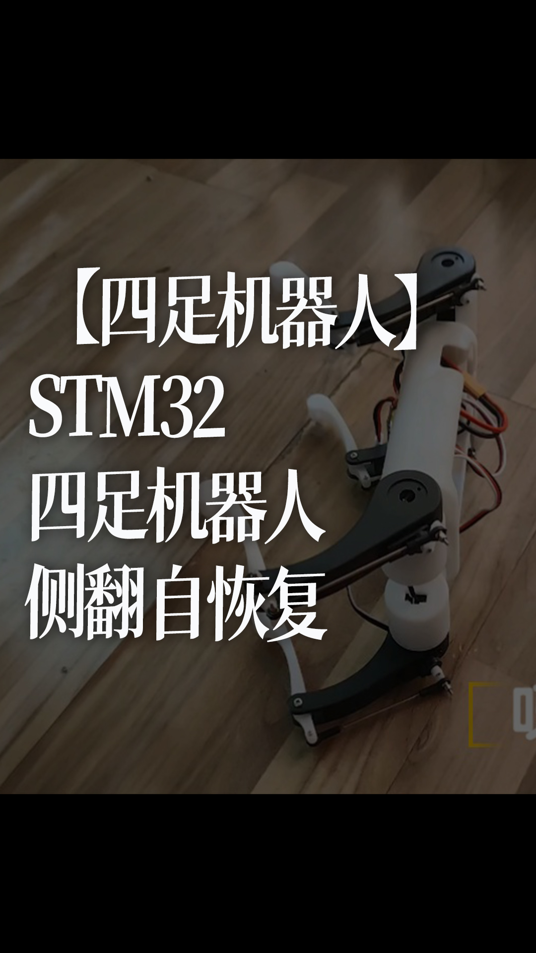 STM32四足機(jī)器人側(cè)翻自恢復(fù)#跟著UP主一起創(chuàng)作吧 #造物大賞 