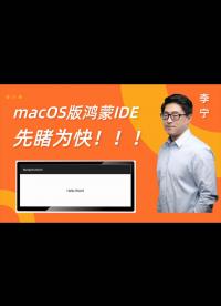 【喜訊，喜訊】期待已久的鴻蒙IDE macOS版終于發(fā)布了，支持車載電腦、智能相機(jī)，趕緊先睹為快-1.