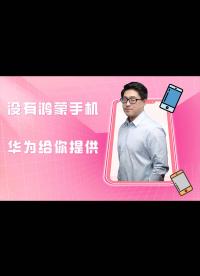 華為提供大量鴻蒙測試真機，而且是Mate 40 Pro Plus，趕快體驗哦，過期不候！