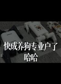 快成養(yǎng)狗專業(yè)戶了，哈哈 - 1-快成養(yǎng)狗專業(yè)戶了，哈哈