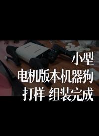 小型電機(jī)版本機(jī)器狗打樣、組裝完成。