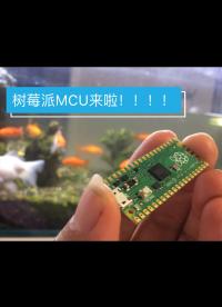 樹莓派終于對(duì)MCU下手了，準(zhǔn)備干用它點(diǎn)啥呢？